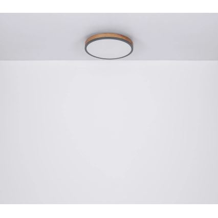 Globo - LED Dimmable ceiling light LED/40W/230V 2700-6500K d. 60 cm + remote control brown/grey