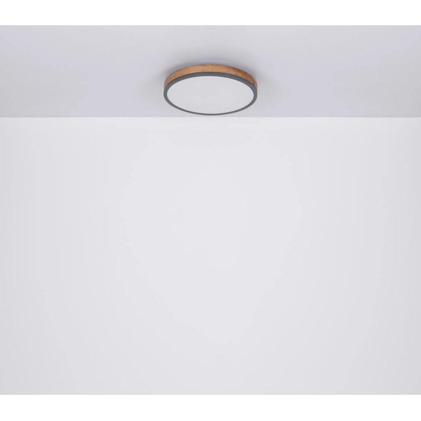 Globo - LED Dimmable ceiling light LED/40W/230V 2700-6500K d. 60 cm + remote control brown/grey