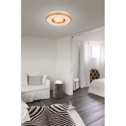 Globo - LED Ceiling light LED/24W/230V