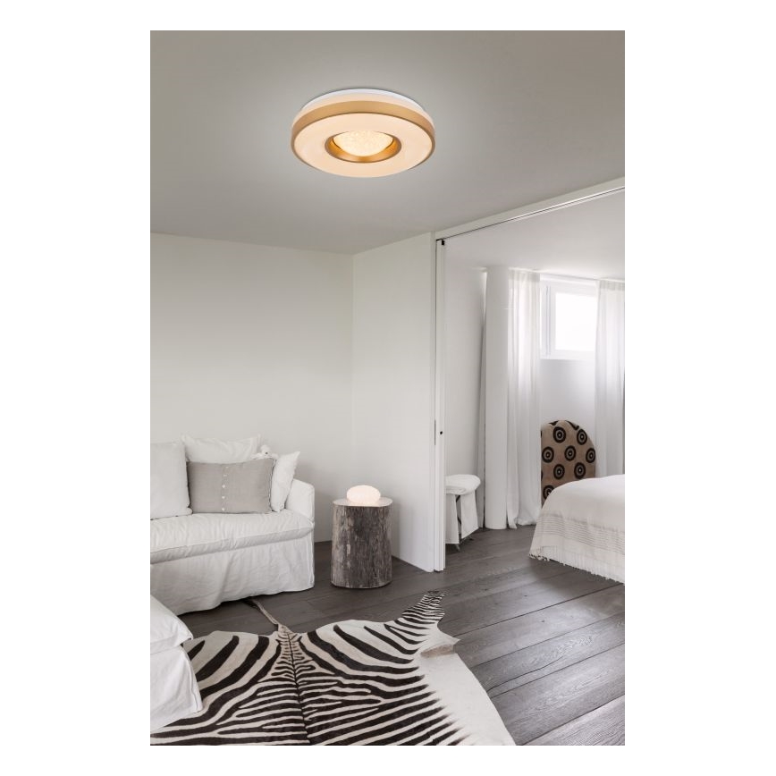 Globo - LED Ceiling light LED/24W/230V