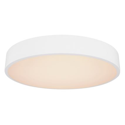 Globo - LED Dimmable ceiling light LED/24W/230V 3000-6000K + remote control