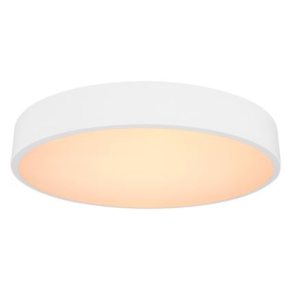 Globo - LED Dimmable ceiling light LED/24W/230V 3000-6000K + remote control