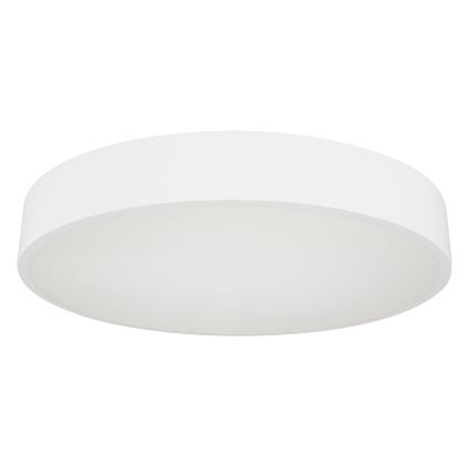 Globo - LED Dimmable ceiling light LED/24W/230V 3000-6000K + remote control