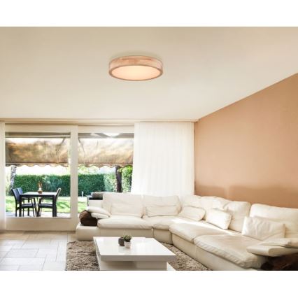 Globo - LED Dimmable ceiling light LED/24W/230V 3000-6000K + remote control