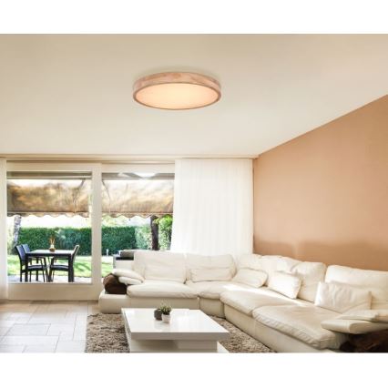 Globo - LED Dimmable ceiling light LED/48W/230V 3000-6000K + remote control