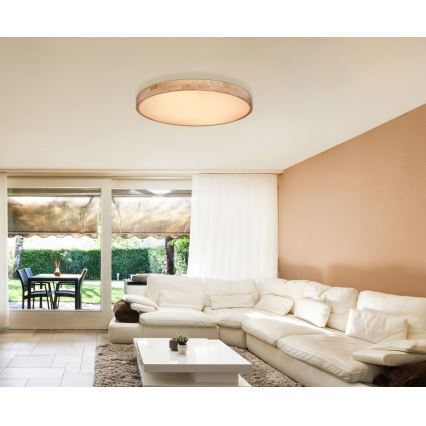 Globo - LED Dimmable ceiling light LED/60W/230V 3000-6000K + remote control