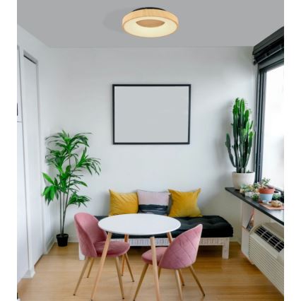Globo - LED Dimmable ceiling light LED/30W/230V + remote control