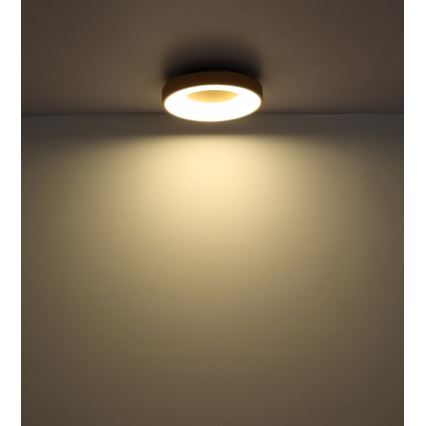 Globo - LED Dimmable ceiling light LED/30W/230V + remote control