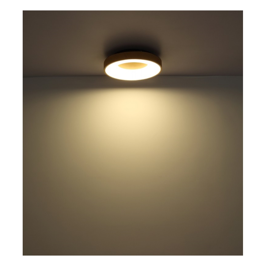 Globo - LED Dimmable ceiling light LED/30W/230V + remote control