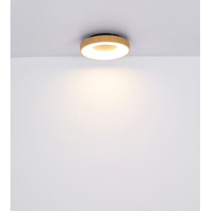 Globo - LED Dimmable ceiling light LED/30W/230V + remote control
