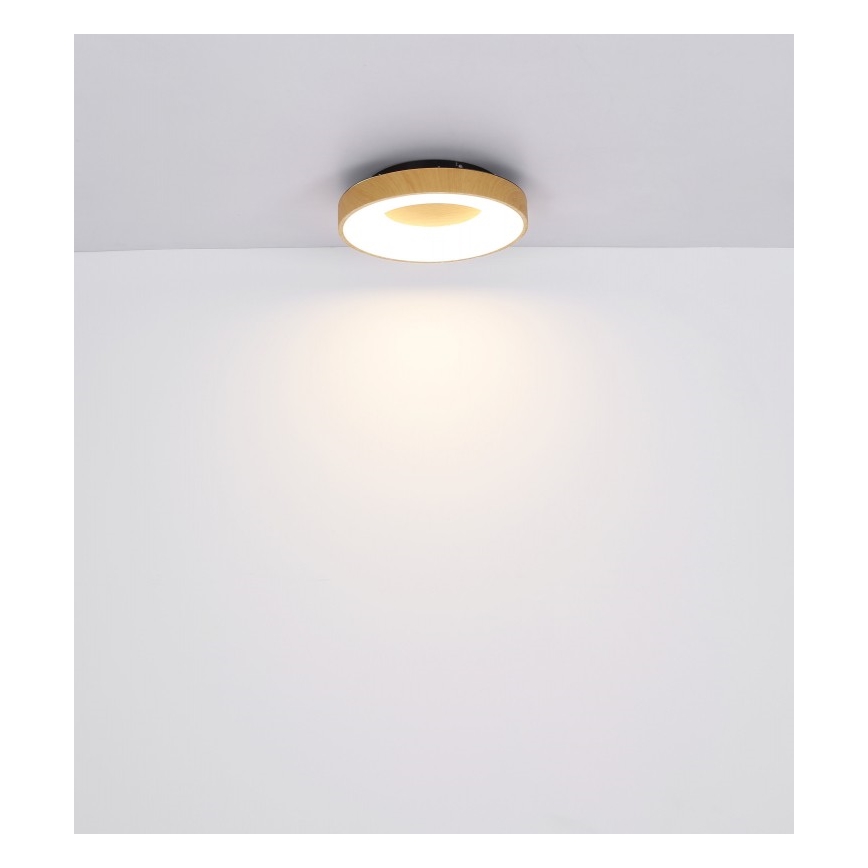 Globo - LED Dimmable ceiling light LED/30W/230V + remote control