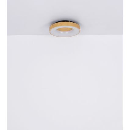Globo - LED Dimmable ceiling light LED/30W/230V + remote control