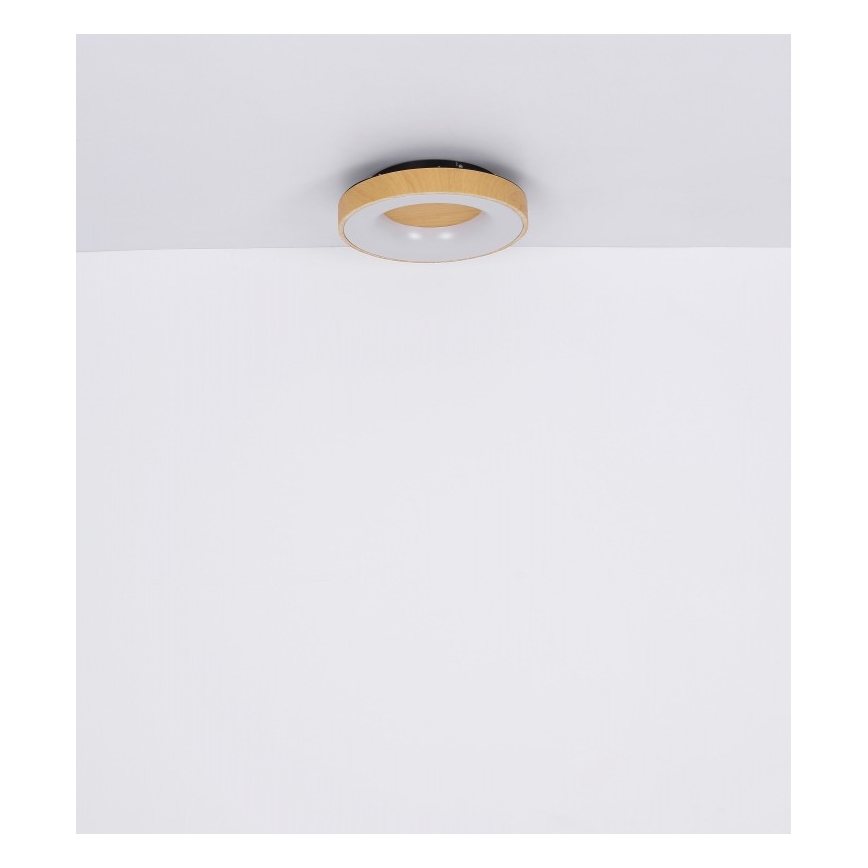 Globo - LED Dimmable ceiling light LED/30W/230V + remote control