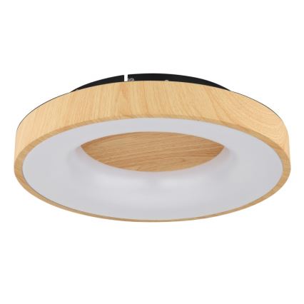 Globo - LED Dimmable ceiling light LED/30W/230V + remote control