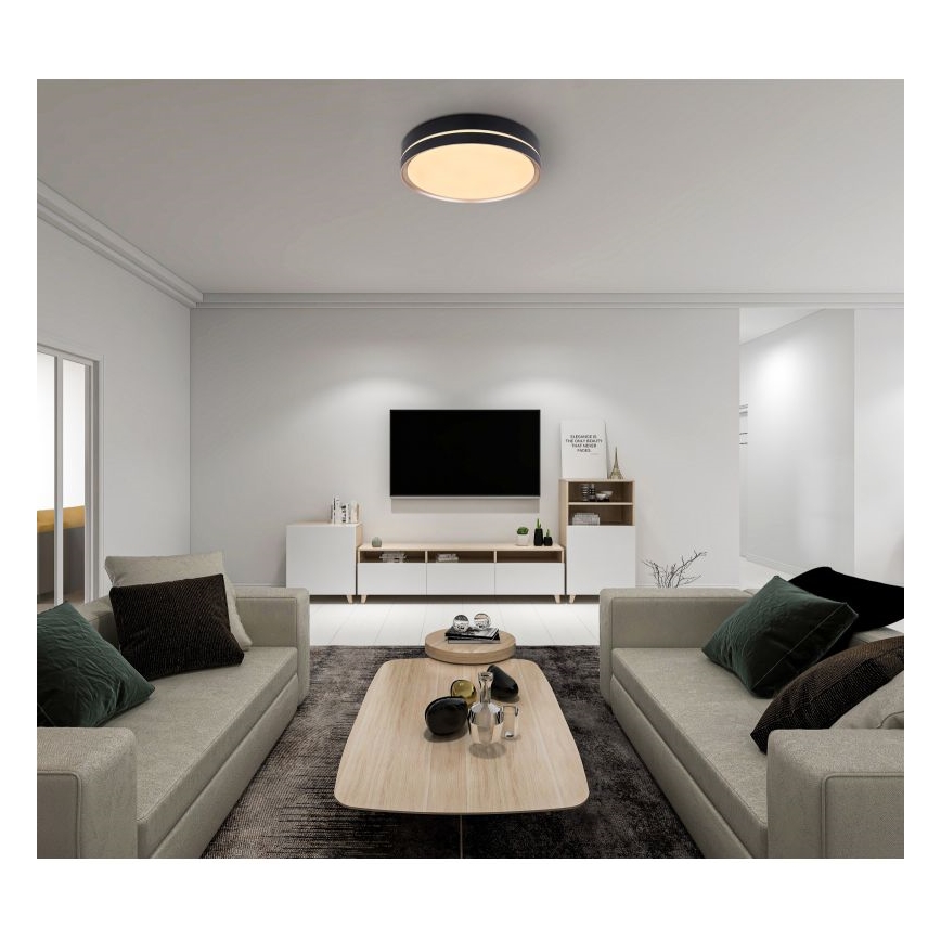 Globo - LED Dimmable ceiling light LED/24W/230V + remote control