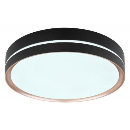 Globo - LED Dimmable ceiling light LED/24W/230V + remote control
