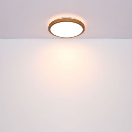 Globo - LED Ceiling light LED/12W/230V 307 mm 3000/4500/6000K