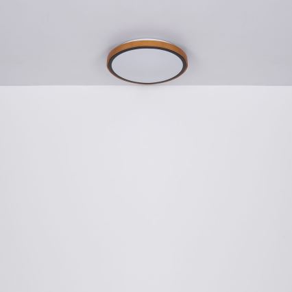 Globo - LED Ceiling light LED/12W/230V 307 mm 3000/4500/6000K