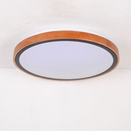 Globo - LED Ceiling light LED/24W/230V 3000/4500/6000K d. 43,7 cm