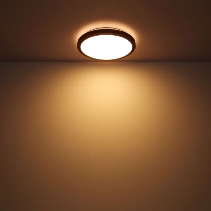 Globo - LED Ceiling light LED/24W/230V 3000/4500/6000K d. 43,7 cm