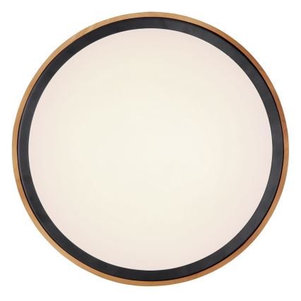 Globo - LED Ceiling light LED/24W/230V 3000/4500/6000K d. 43,7 cm