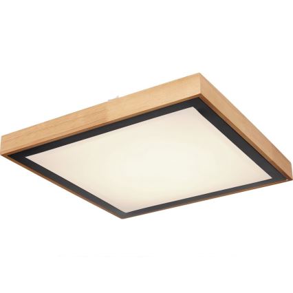 Globo - LED Ceiling light LED/24W/230V 3000/4500/6000K