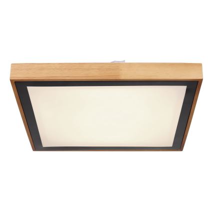 Globo - LED Ceiling light LED/24W/230V 3000/4500/6000K