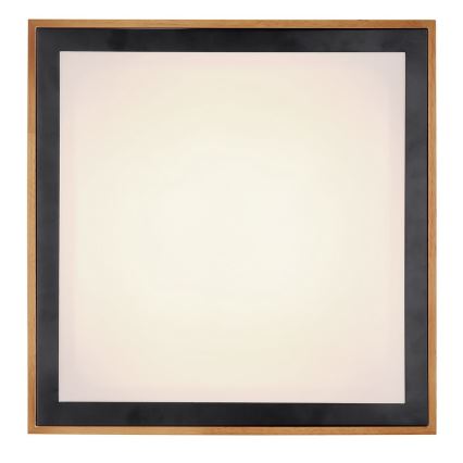 Globo - LED Ceiling light LED/24W/230V 3000/4500/6000K