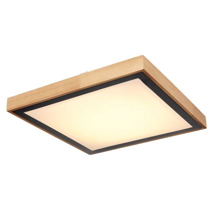 Globo - LED Ceiling light LED/24W/230V 3000/4500/6000K