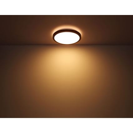 Globo - LED Ceiling light LED/12W/230V 3000/4500/6000K d. 30 cm