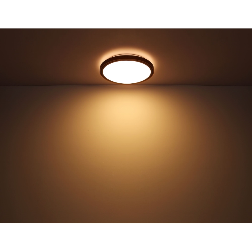 Globo - LED Ceiling light LED/12W/230V 3000/4500/6000K d. 30 cm