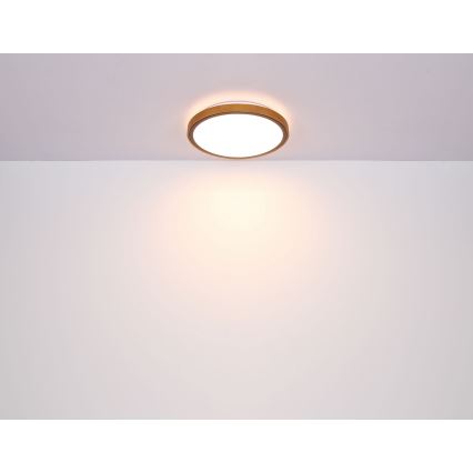 Globo - LED Ceiling light LED/12W/230V 3000/4500/6000K d. 30 cm
