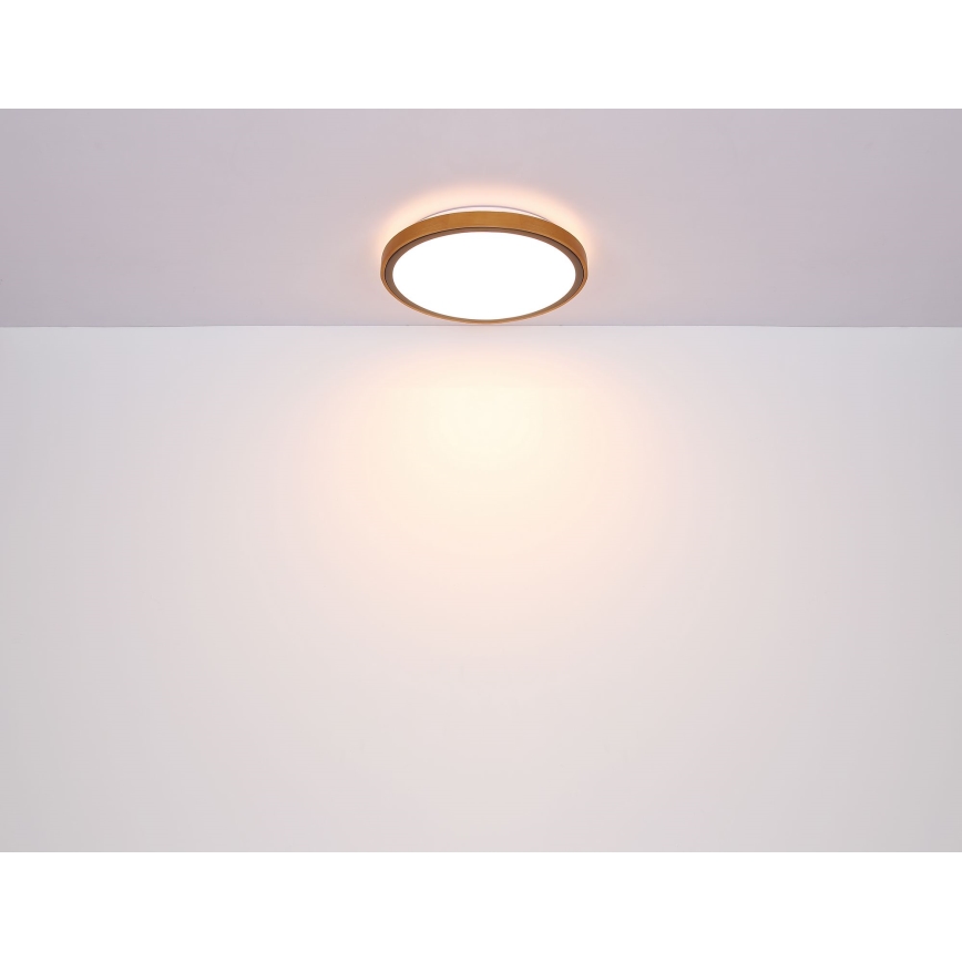 Globo - LED Ceiling light LED/12W/230V 3000/4500/6000K d. 30 cm