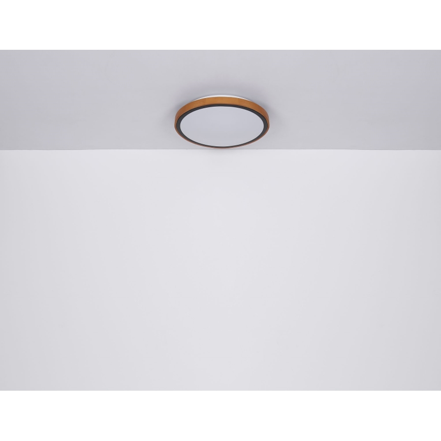Globo - LED Ceiling light LED/12W/230V 3000/4500/6000K d. 30 cm