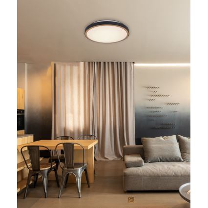 Globo - LED Ceiling light LED/24W/230V 3000/4500/6000K d. 42 cm