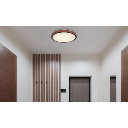 Globo - LED Ceiling light LED/24W/230V 3000/4500/6000K d. 42 cm