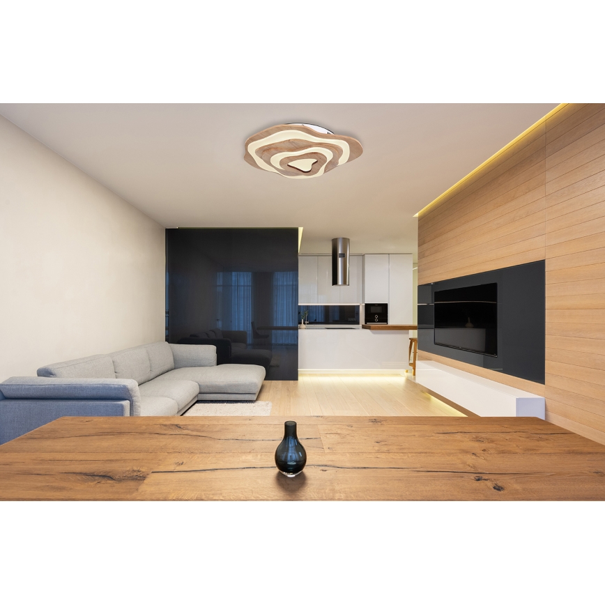 Globo - LED Dimmable ceiling light LED/40W/230V 2700-6000K + remote control