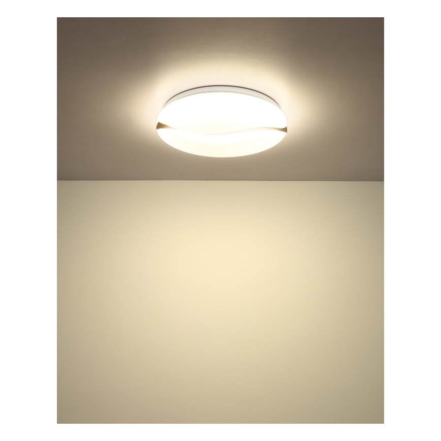 Globo - LED Ceiling light LED/24W/230V 3000/4200/6000K d. 33 cm