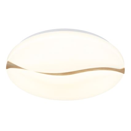 Globo - LED Ceiling light LED/24W/230V 3000/4200/6000K d. 33 cm