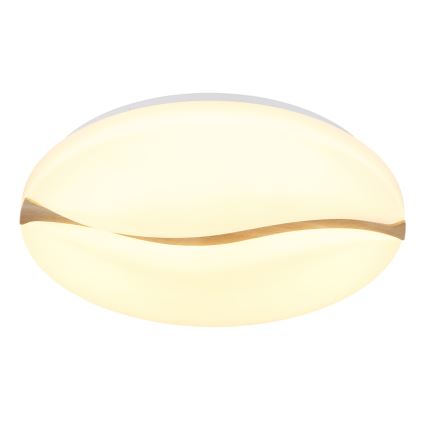 Globo - LED Ceiling light LED/24W/230V 3000/4200/6000K d. 33 cm