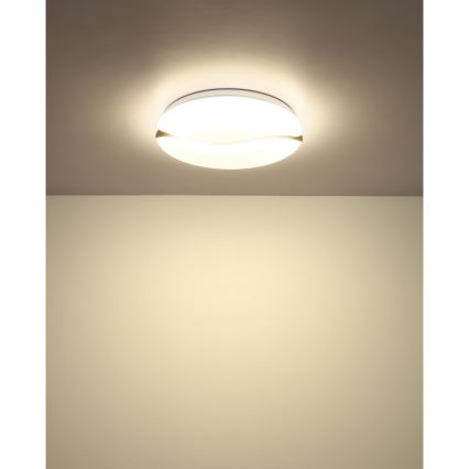 Globo - LED Ceiling light LED/24W/230V 3000/4200/6000K d. 39 cm