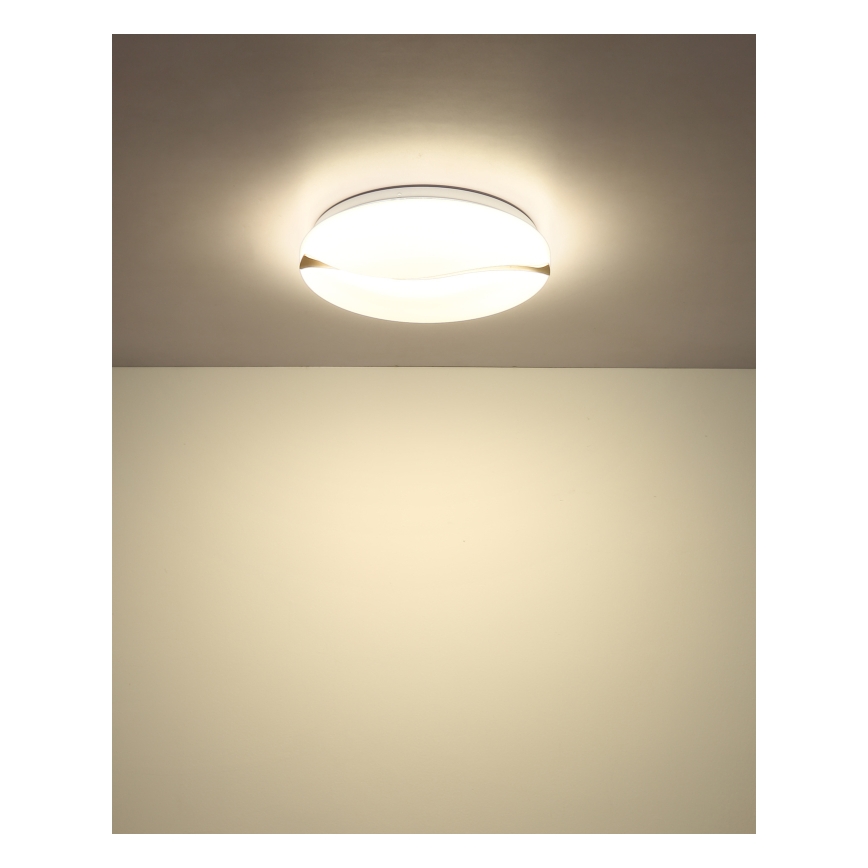 Globo - LED Ceiling light LED/24W/230V 3000/4200/6000K d. 39 cm
