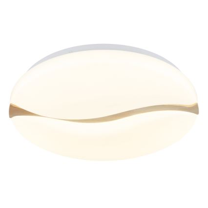 Globo - LED Ceiling light LED/24W/230V 3000/4200/6000K d. 39 cm