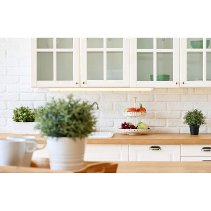 Globo - LED Under kitchen cabinet light LED/30W/230V 115 cm IP65