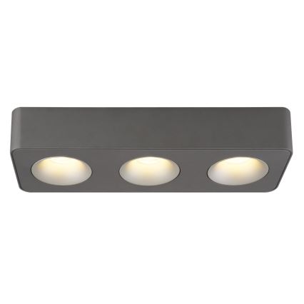 Globo - LED Ceiling light LED/14W/230V 11,7x33,2 cm