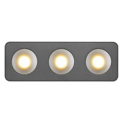 Globo - LED Ceiling light LED/14W/230V 11,7x33,2 cm
