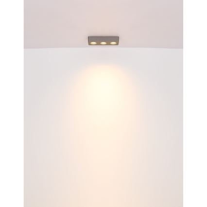 Globo - LED Ceiling light LED/14W/230V 11,7x33,2 cm