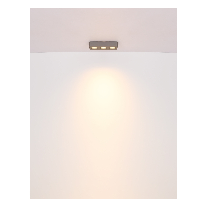 Globo - LED Ceiling light LED/14W/230V 11,7x33,2 cm