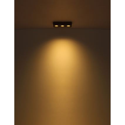 Globo - LED Ceiling light LED/14W/230V 11,7x33,2 cm