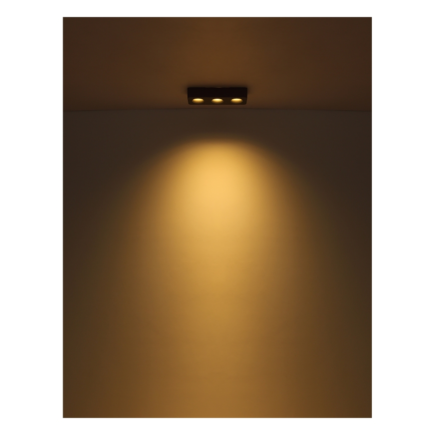 Globo - LED Ceiling light LED/14W/230V 11,7x33,2 cm